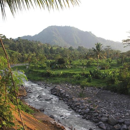 Anandinii River Lodge By Agata Sidemen  Ngoại thất bức ảnh