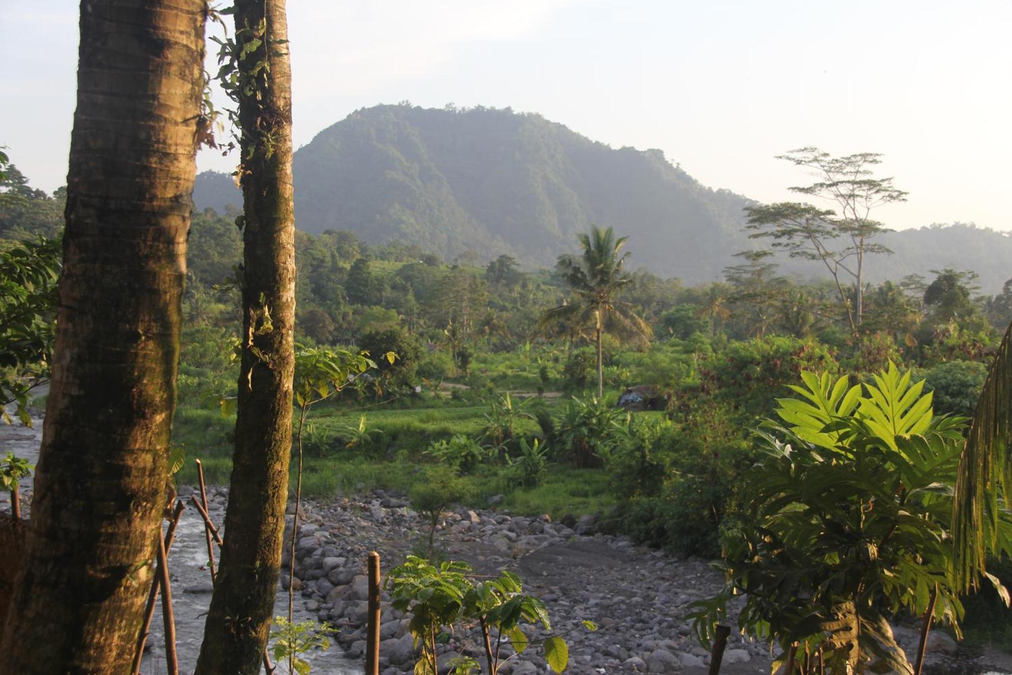 Anandinii River Lodge By Agata Sidemen  Ngoại thất bức ảnh