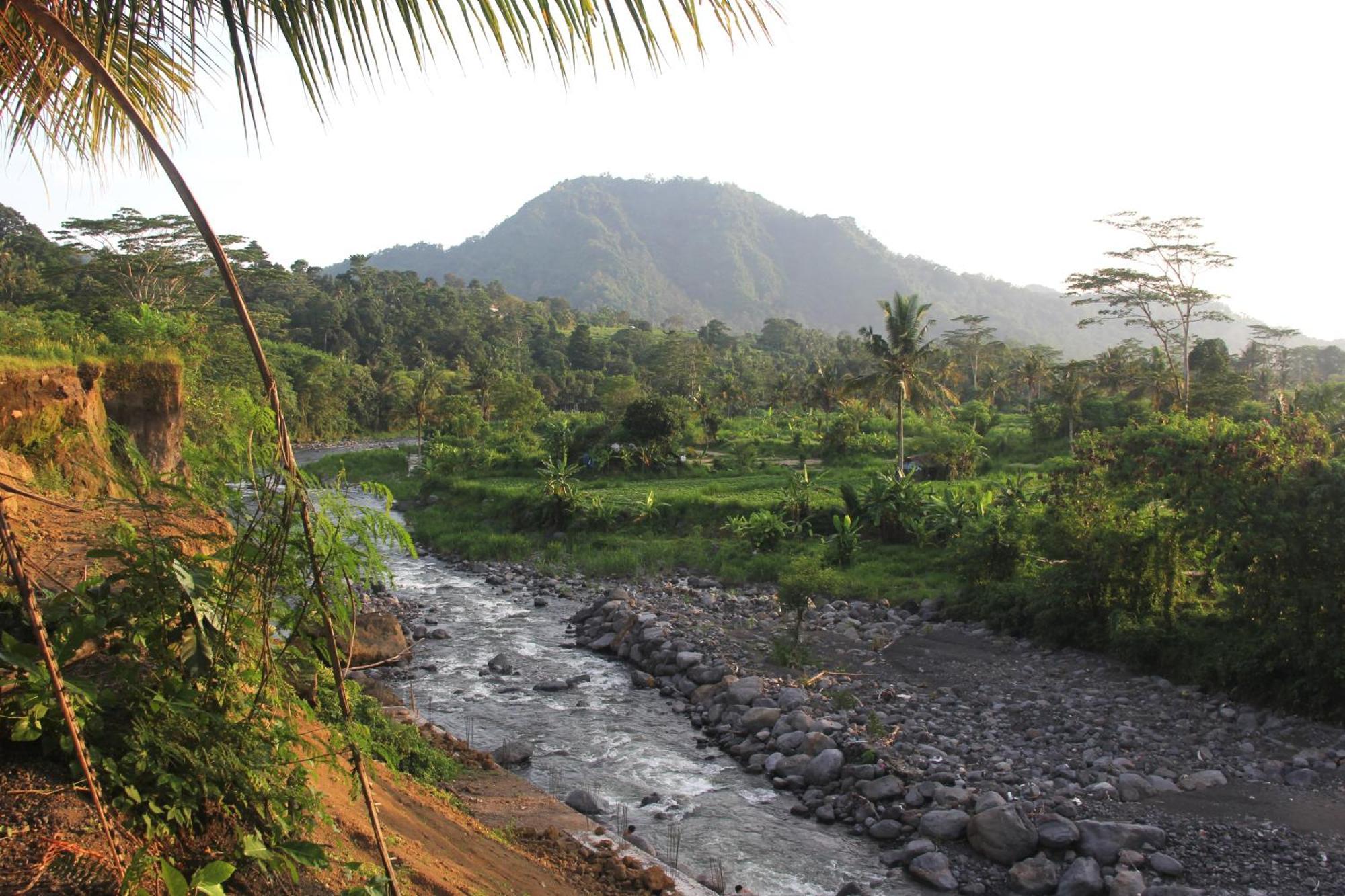 Anandinii River Lodge By Agata Sidemen  Ngoại thất bức ảnh